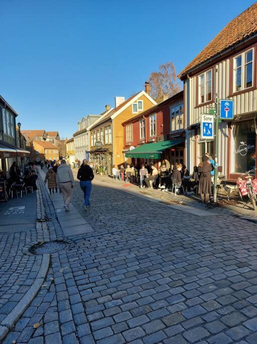Hidden Gem Near The Old Town Bridge, 40M² Apt. Trondheim Zewnętrze zdjęcie